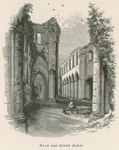 Fountains Abbey, Nave og South Aisle af Alexander Francis Lydon