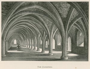 Fountains Abbey, The Cloisters af Alexander Francis Lydon