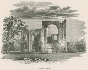 Furness Abbey, ser mod nord af Alexander Francis Lydon