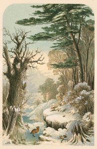 Illustration til Longfellow