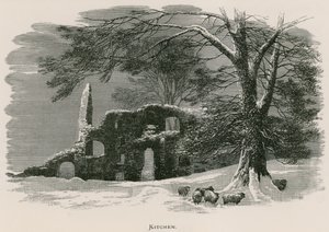 Kirkstall Abbey, Køkken af Alexander Francis Lydon