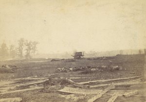Udsigt på slagmarken ved Antietam, september 1862, 1862. af Alexander Gardner