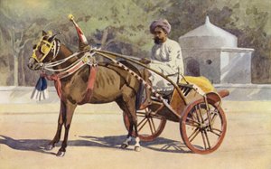 A Benares Ekka af Alexander Henry Hallam Murray