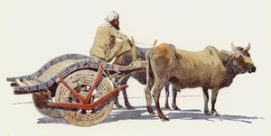 En oksevogn, Jodhpur