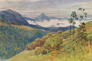 Morning Mists in the Valley of the Mahaweli Ganga, c 1880 1905.
