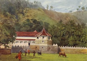 Tandtemplet, Kandy, Udenfor