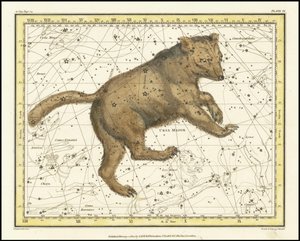 1822 - Alexander Jamieson -- Ursa Major af Alexander Jamieson