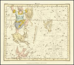 1822 - Alexander Jamieson - Orion, Psaltriem Georgii, Sceptrum Brandenburgium, Lepus og Columba Noachi af Alexander Jamieson