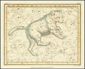 1822 - Alexander Jamieson - Ursa Major - Big Bear af Alexander Jamieson