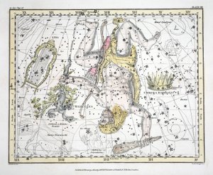 The Constellations (Plade VIII) Corona Borealis, Hercules and Cerberus, Lyra, fra 