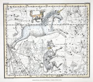 Konstellationerne (plade XXV) Canis Major, Canis Minor, Monoceros, Argo Navis, Printer