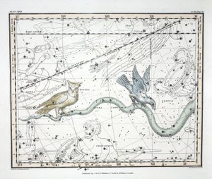The Constellations (Plate XXVII) Hydra Continua, Crater, Covus, Centaurus et Lupus, fra 