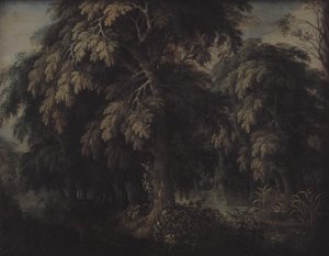Skovklædt Landskab
