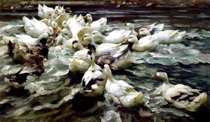 Ducks Gathering (olie på lærred)