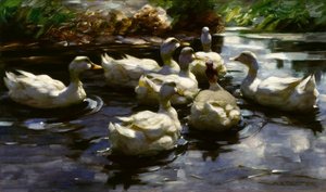 A.Koester, ænder i dammen
