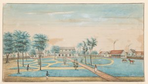 Udsigt over sukkerplantagen Catharina Sophia af Alexander Ludwich Brockmann