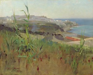 Tanger fra klitterne, 1892