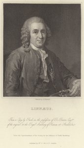 Linné af Alexander Roslin