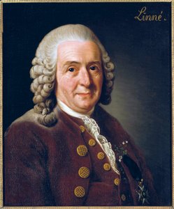 Portræt af Carl von Linne (Linnaeus) af Alexander Roslin