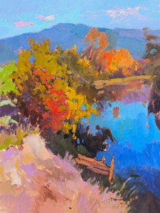 Indbrud af Alexander Shandor