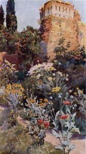 I Alhambras haver (farve litho)
