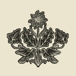 Elegante blomsterfugle af Alexandra Weise