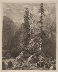 Etsninger af Alexandre Calame, I, pl. 21