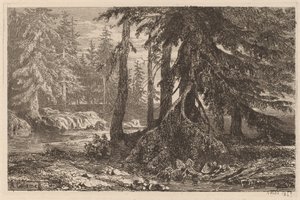 Ætsningsforsøg af Alexandre Calame, III, pl. 16 af Alexandre Calame