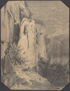 Skove og bjerge af Alexandre Calame