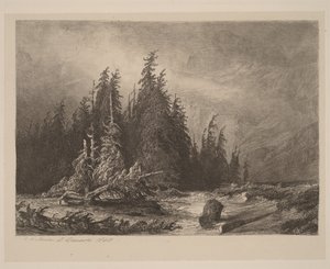 Bjergfyr af Alexandre Calame