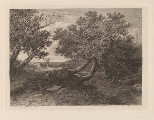 Stream med overhængende træer af Alexandre Calame