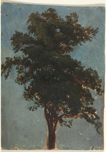 Træstudie, anden tredje 1800-tallet.