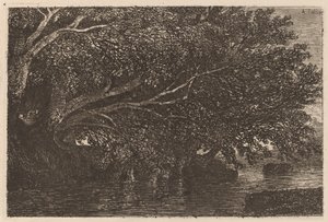 Træer, der hænger over en dam af Alexandre Calame