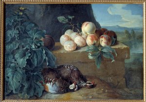 Ferskner og agerhøns. Maleri af Francois Desportes (1661-1743) af Alexandre Francois Desportes