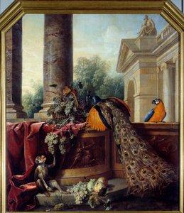 Stilleben med påfugl En papegøje, en abe og klaser af druer. Maleri af Francois Desportes (1661-1743) 1700-tallet søn. 2,05x1,8 m Lyon, Musee des Beaux Arts af Alexandre Francois Desportes