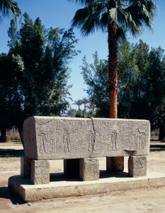 Egypten, Kairo, det gamle Memphis, indgraveret sarkofag af Nicolas Toussaint Charlet