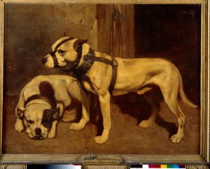 Scottish Bulldog and Terrier Bad Dog with muzzle. Painting by Alexandre Gabriel Decampsdani af Alexandre Gabriel Decamps