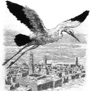 En stork, der flyver over en nordafrikansk landsby