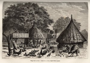 Village Diour om vinteren (Sudan) og indbyggernes daglige aktiviteter i midten af dyr opdraget af samfundet, gravering efter tegningen af A. de Bar, der illustrerer rejsen til Afrikas hjerte i 1868-1871, af Dr. Georges Schweinfurt