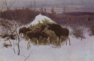 Flok af Elk, 1889