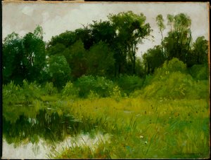 Efter regn, på Minnehaha Creek