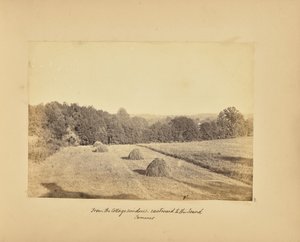 Fra sommerhusets vinduer - Østpå til Øresund - Sommer af Alfred Booth