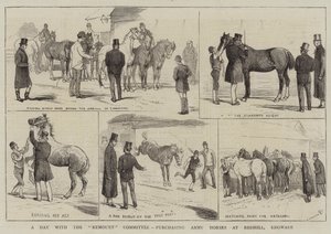 A Day with the Remount Committee, køb af Army Horses i Redhill, Edgware