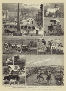 Et sydafrikansk landbrugsudstilling, Port Elizabeth, Kapkolonien