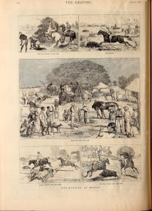 Svinejagt i Bengalen af Alfred Chantrey Corbould