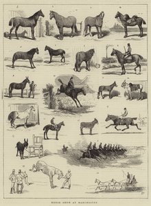 Horse Show i Manchester af Alfred Chantrey Corbould