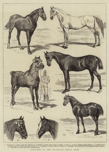 Skitser på Islington Horse Show af Alfred Chantrey Corbould