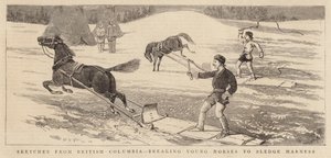 Skitser fra British Columbia, der knækker unge heste til slædesele af Alfred Chantrey Corbould