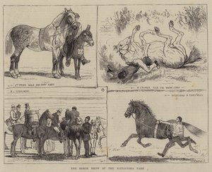 Hesteshowet i Alexandraparken af Alfred Chantrey Corbould