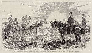 Bjergmulebatteriet, der for nylig blev dannet ved Aldershot, i aktion på Cæsars lejr af Alfred Chantrey Corbould